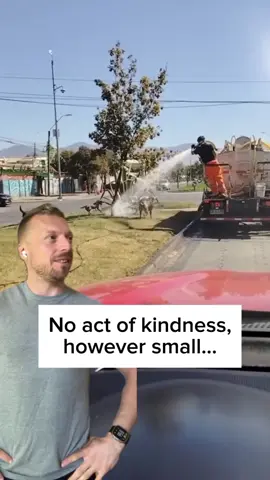 Like these stray #dogs, the innocent and vulnerable animals raised to become “food” never asked to be in their situation. They, too, need our help and kindness. 🥺 The Humane League estimates that every #vegan save around 365 animals every year. Imagine the impact if we all chose compassion over cruelty. 🤯💚 Be their hero. Choose vegan. 🙏🌱 👉 Together we can make a difference. ❤️‍🩹 Sign our petitions now at our profile link 🖊️ 🎥: VeganFTA x johnoberg (IG) Clips from thesavemovement | animalsavenederland | celjeanimalsave | lightmoveme | galapagos_marc (IG) - DM for credits #govegan #doglover #animallover