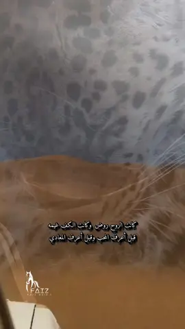 خلو القلب يدله في هواه ونعيمه مع وساع الصدور ومع نظاف المبادي #CapCut #اكسبلور #شيله #شيلات #خالد_ال_بريك @Fahad @♚ Sword 