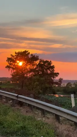 Beautiful Southeast Texas sunset  #sunset #sunsets #sunsetlover 