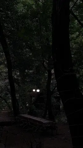 #forest 