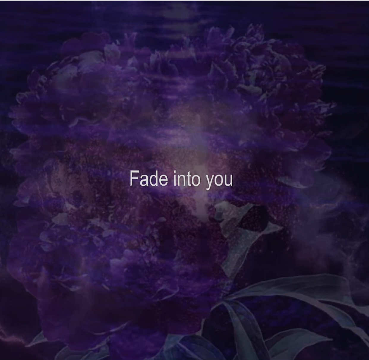 💜☂️🪻🔮 #fadeintoyou #mazzystar #song #lycrismusic #aestheticvideos 