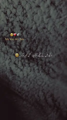 #🤌🏻❤️ دیکھ میں نے کتنا چاہا #urdupoetry #aethetic #viral_video #standwithkashmir 