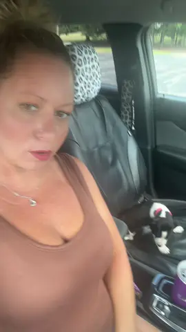 #puppy #puppytiktok 