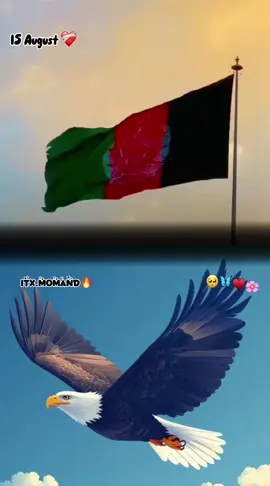 #CapCut 🥺❤️‍🩹 #fypageシ #pageforyou_🔥 #fyp #pageforyou_🔥viral_video♥tiktok💯 @🤍🅜🅞🅜🅐🅝🅓🇦🇫 