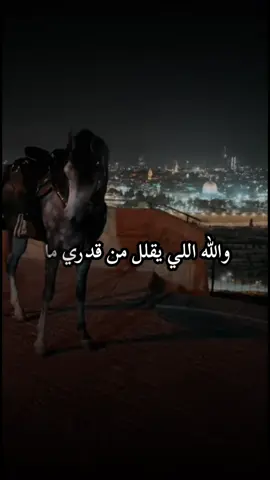 #أكسبلور_شعر_حكم_خواطر 