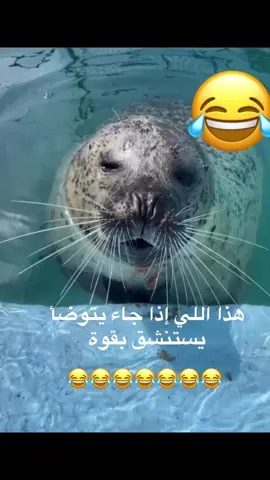 #ضحك