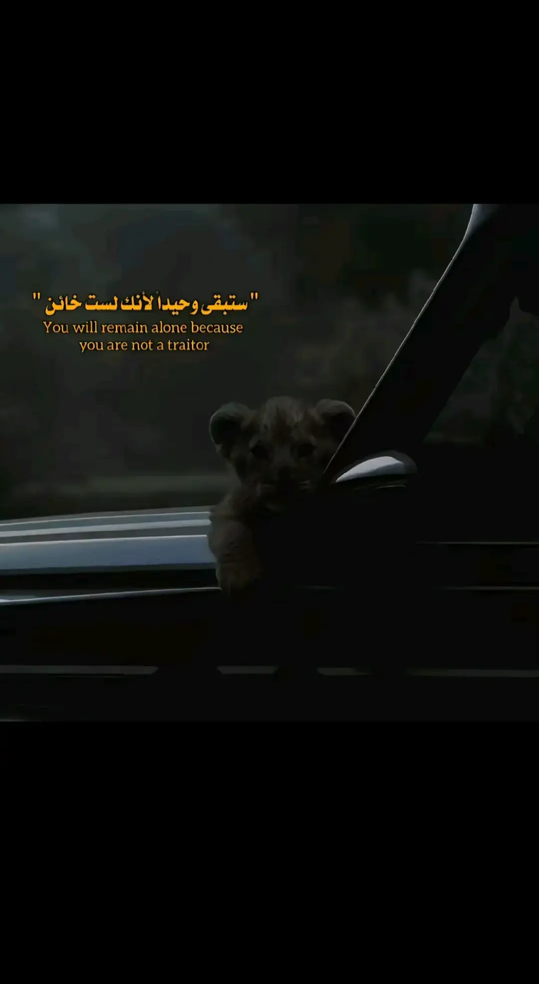 #شعب_صيني_ماله_حل😂😂       #قلب #fryp @✨𝓜𝓮𝓴𝓴𝓲 🔱 