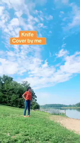#knife #rockwell #fyp #songcover #musiclovers 