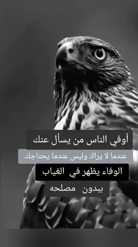 #الحمدلله_دائماً_وابداً_على_كل_حال #مشاهدات 