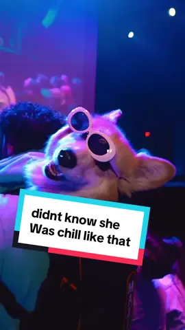 this was filmed in Philadelphia back on April 16. Shout out to @@madmax_fluffyroad for making a special guest appearance at my show. What a great time and what a cute dog truly one of the chillest animals I’ve ever met in my life. If you like the hoodie go to goofygang dot com If you wanna be the first to know about tour dates going the vip list at morganjay dot com / contact Two comedy specials out!  * 15/8 - Rio de Janeiro * 21/8 - Porto Alegre  * 6/10 - Dubai * 10/17 - Chicago * 10/18 - Madison * 11/13 - NYC * 11/14 - Atlantic City * 11/15 - Providence * 12/4 - Portland, ME * 12/5 - Burlington, VT * 12/6 - Troy, NY * 12/12 - Sacramento * 12/13 - Sacramento * 12/14 - Reno * 12/30 - Las Vegas  * 12/31 - Las Vegas