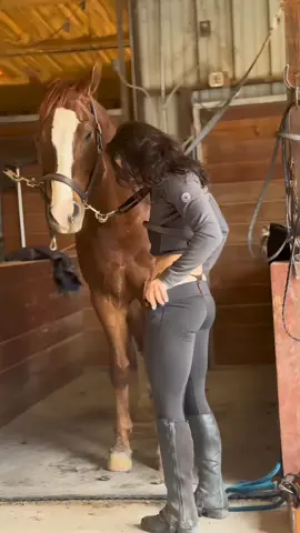 #LearnOnTikTok #storytime #truestory #horse 
