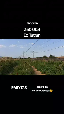 #Rarytas #Gorilla #350_008 #to_są_w00zy 