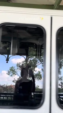 this song lives rent free in my mind 🚝 #chappellroan #thesubway #disney #magickingdom #monorail 