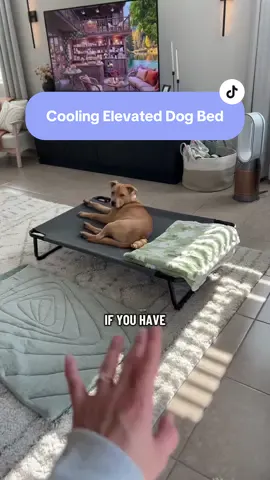 We love these and the price is great! #dogbed #dogsoftiktok #dogtok #dogproducts #dogfavorites 