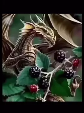 The Blackberry Dragon! 🐉 