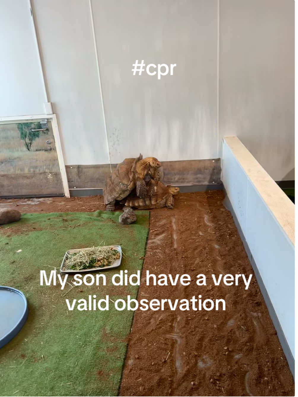 Listen, he’s learning and if you think about it, could definitely be a form of it.  #schoolpaysoff #cpr #turtle #turtlevibes #baby 