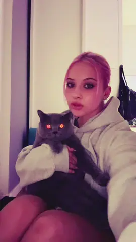 (๑>◡<๑)