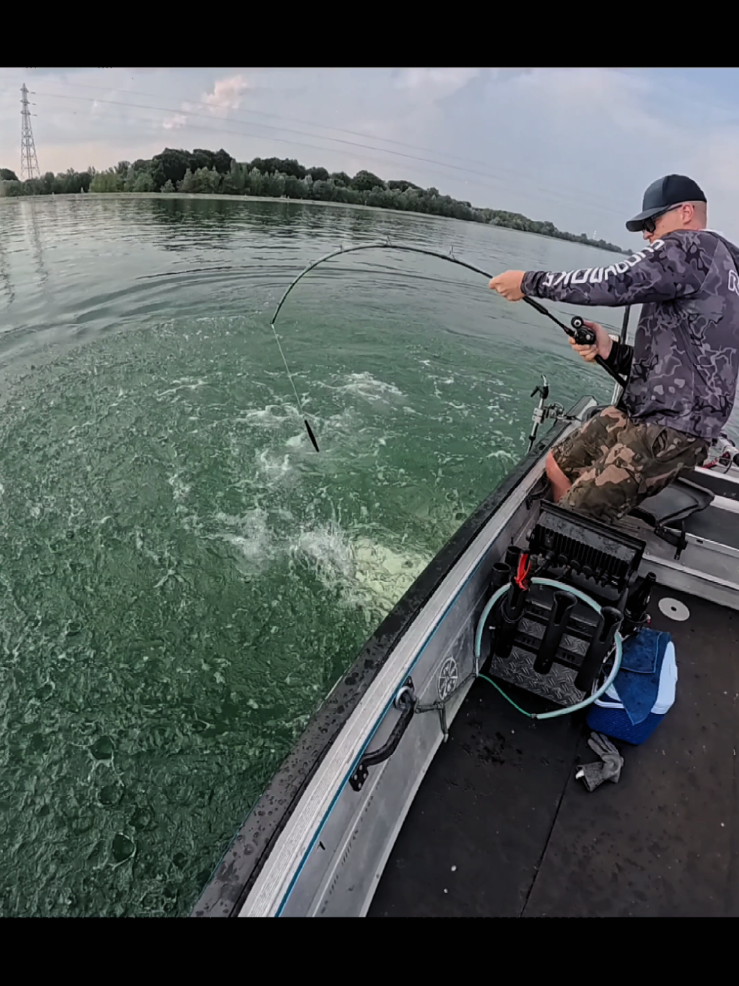 #riverfishing #bigfish #wels #angeln #Rhein #alsace #siluro #nokill #pescuitlasomn 