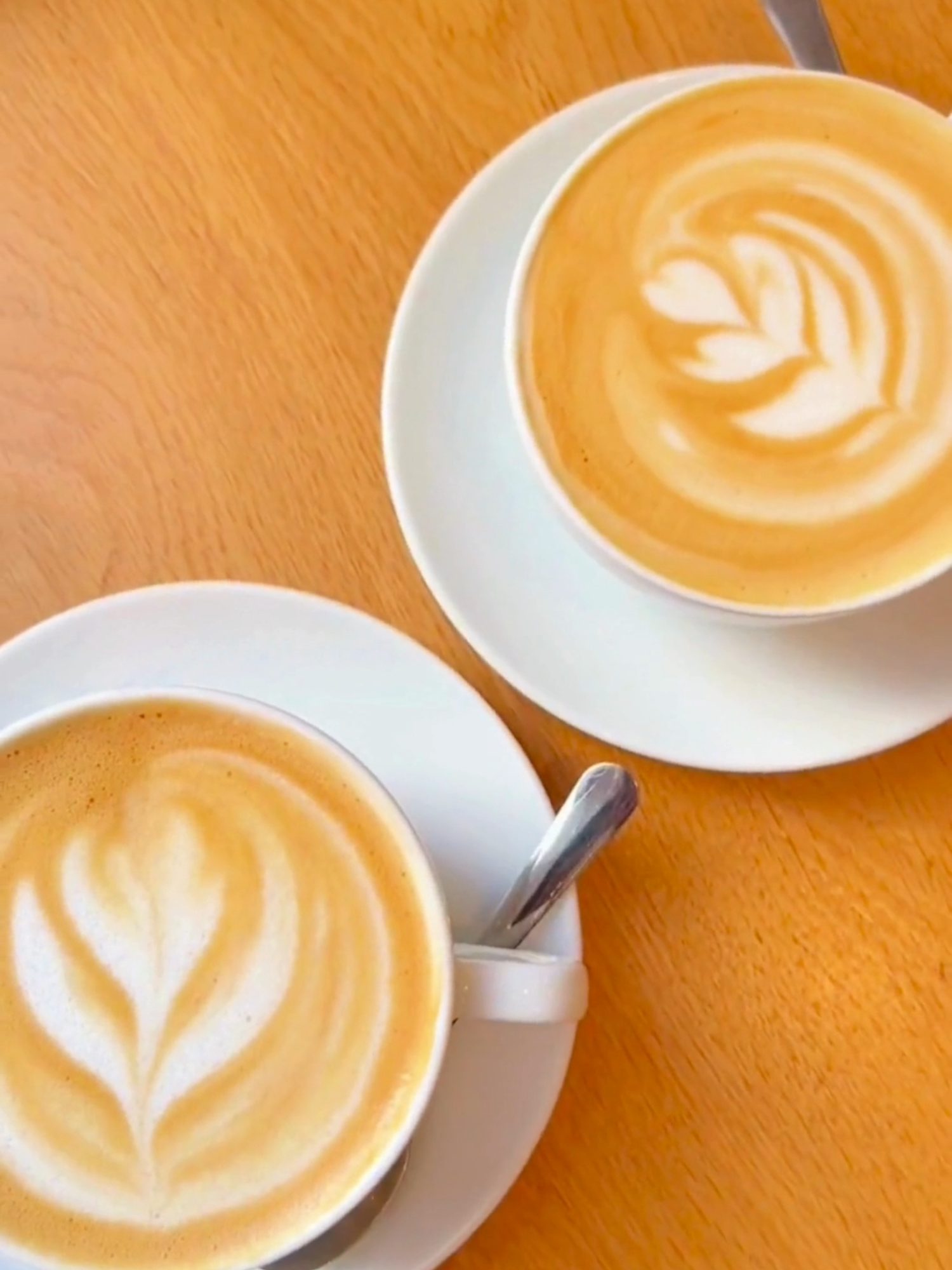 Apparently there’s a little drink drop happening at a certain big-name coffee shop today… but we think your local café deserves the spotlight. ☕ Tag your favorite local coffee shop below to give them some love! #coffeeshops #shoplocal #pumpkinspicelatte