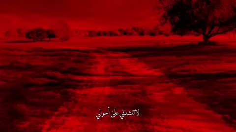 لاتنشدني على أحوالي …!💔 #سيد_فاقد_الموسوي 