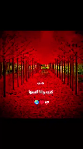 #creatorsearchinsights 