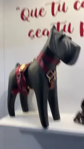 Tenemos todo tipo de accesorios necesarios para tus carteras y/o correa de perros. Contamos con gran variedad. ¡Ven y Visítanos! 😉💗 Puedes encontrarnos en Jr. Manco Inca N°900. CC. Ramón Castilla, Interior A-31 Rímac.  #paratii #carteras #accesorios #marroquineria #ventas 