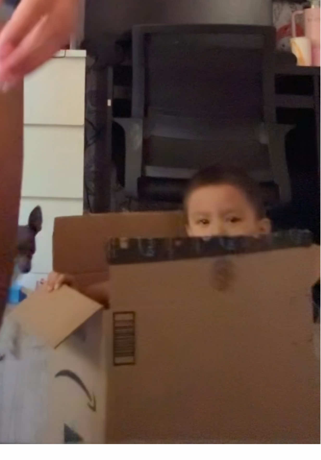 he fits he sits 📦 #momlife #boymom #boxfun #boredchild #mommyandme 
