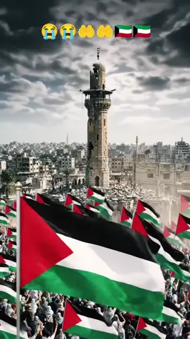 Pray For Gaza🤲🤲🇰🇼😭😭 #foryou #PalestineWillBeFree #FreePalestine #StandWithGaza #Gaza 