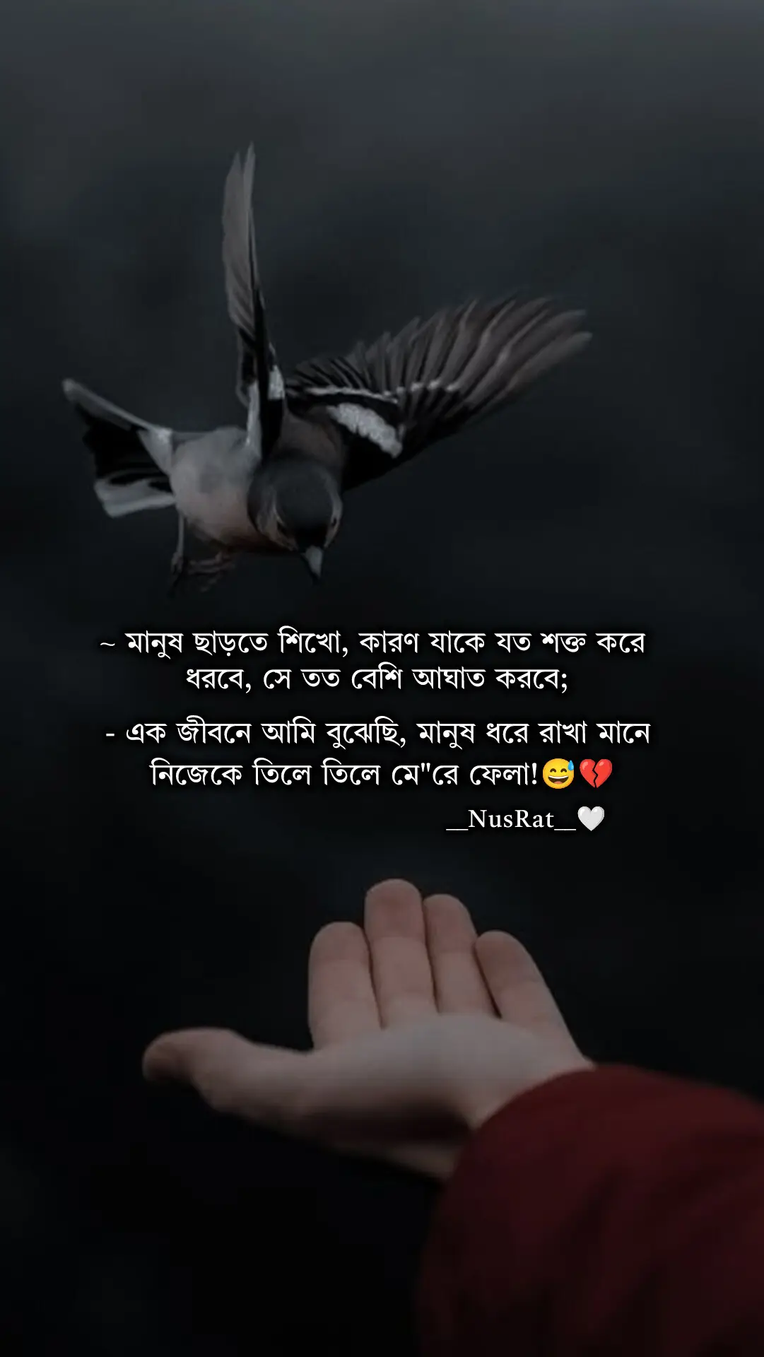 #foryour #foryoupage❤️❤️ #nusrat_jahan_803 