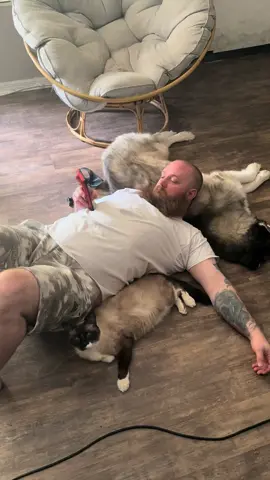 My hubby,my husky(Zeus)as a pillow,and our baby kitty(Frostie). #catsoftiktok #dogsoftiktok #PetsOfTikTok #❤️ 