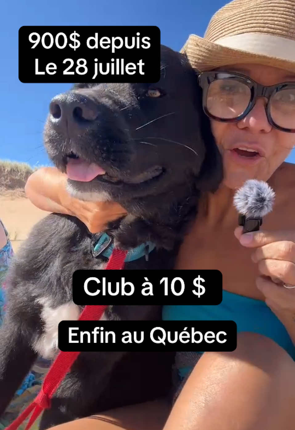 900 $ depuis le 28 juillet en revenu supplémentaire et il reste encore deux semaines.  Si tu veux savoir comment faire commente INFO #revenupassif #gagnerdelargent #tiktokquebec 