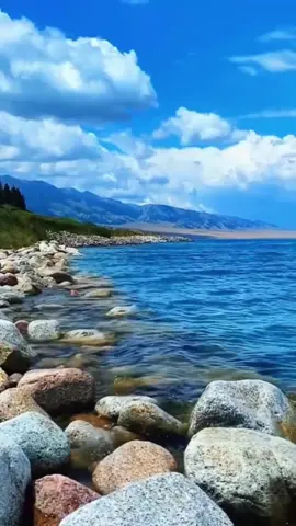 #لا 