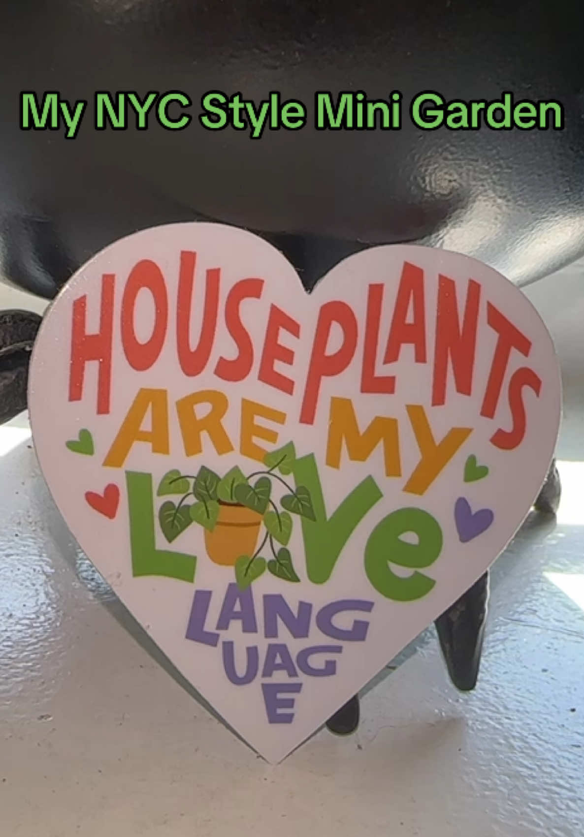 Even in the heart of NYC, your plants can thrive like they’re in the wild 🌿✨ Give them the Purived love they deserve — pure, natural, and city-proof!” #UrbanGardening #NYCPlants #PlantCare #Purived #PlantLovers  