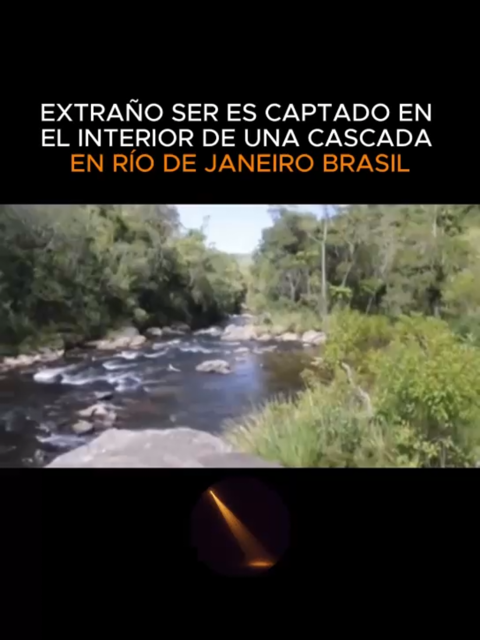 Extraño ser es captado en el interior de una cascada en Rio de Janeiro.