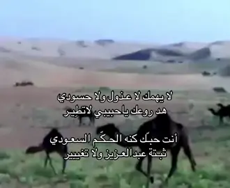 هـد روعـك ياحبيبي لاتطـيِِير .#quotesaesthetic #طرب#اكسبلور #quotesaesthetic 