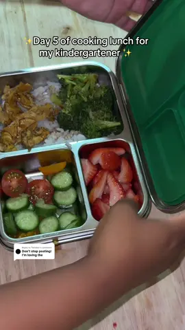 Replying to @Tiktoker  day 5 of cooking got my kindergartener #fyp#firstdayofschool#kidslunch#lunchideas#toddler