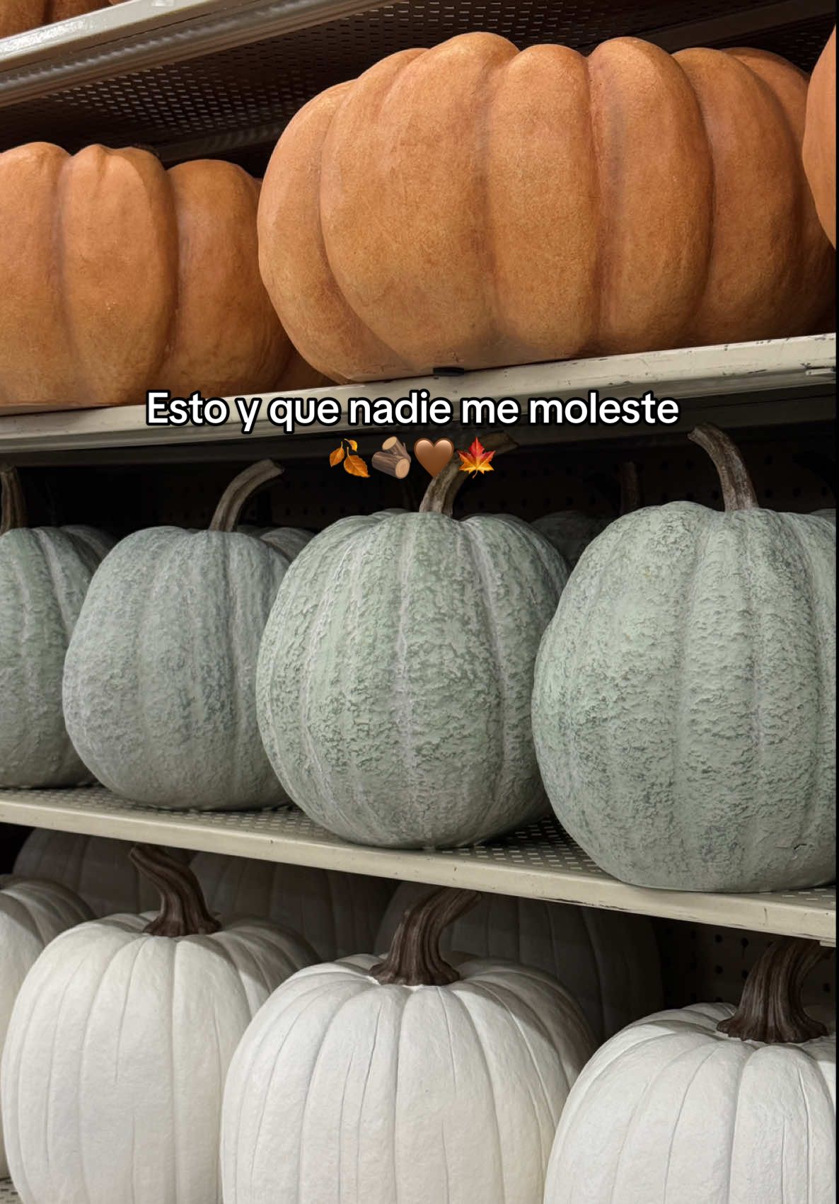 Pasatiempo favorito de las girls en otoño 😮‍💨🍂🤎🪵  #hobbylobby #pumpkinseason #fall #falldecor #autumndecor 