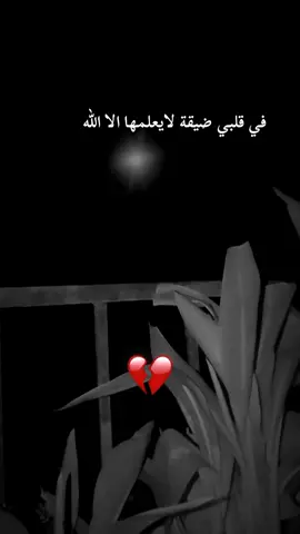 #الحمدالله_علی_کل_حال❤ #تصويري📷 #اكسيبلور🔥💙 #اعادة_النشر🔃 #تصميم_فيديوهات🎶 