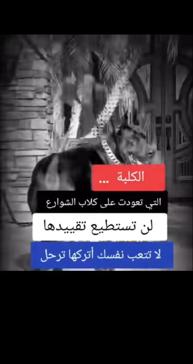 افهم علي كد فهمك #توماس_شيلبي_حزين💔🥺 #Ramadan2025 #كسلا_بورتسودان_قضارف #الاجابه_تكون_للعقول_الراقيه_فقط #نصائح_مفيدة 