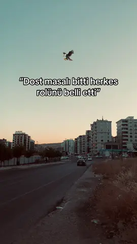 STORY 🦅#storylikvideolar📌 #duygusalvideolar #fypシ゚ #raconsözler #ağırsözler 