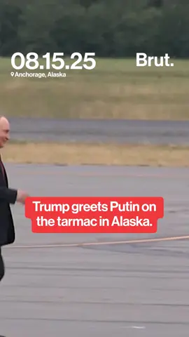The 