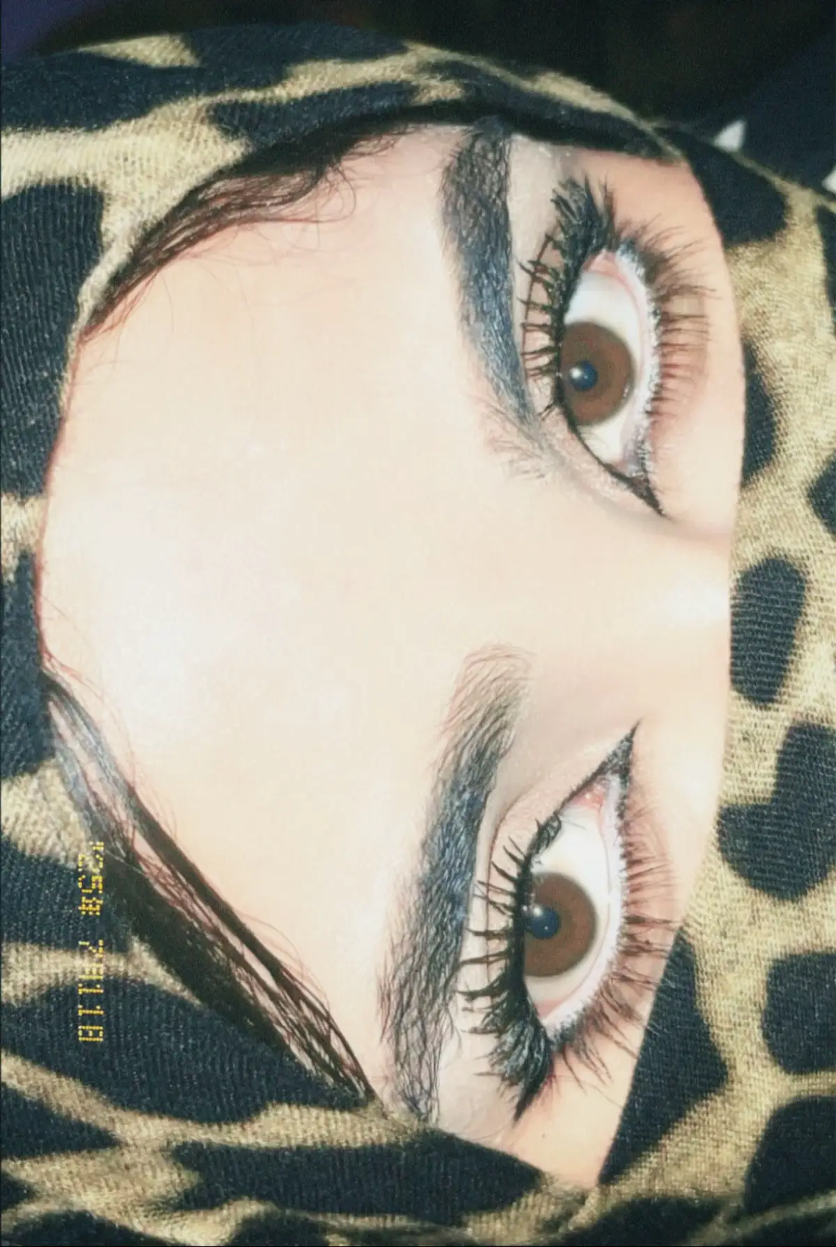 🤎🐆