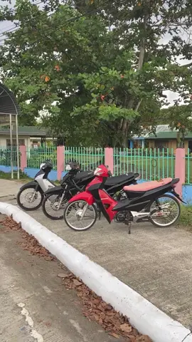 Complete Violation #fyp #wavesociety #ThaiConcept #poorwave #wavestreetbike 