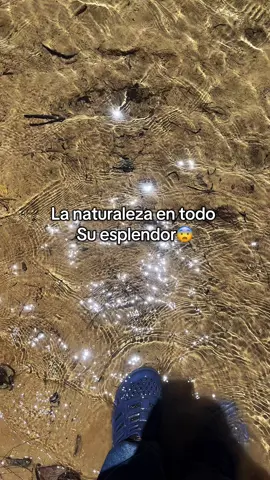 El creador del universo y sus simples detalles🤯#viajes  #naturaleza#flyppppppppppppppppppppppppppppppp 