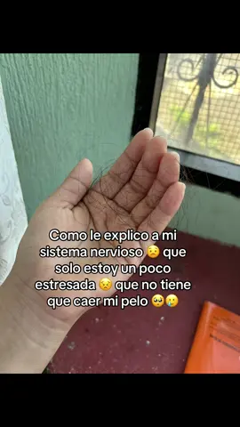 #guatemala #pelolargo #caidadepeloenlamujer #mujer #estres 
