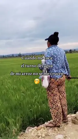 #tarapoto_perú🇵🇪💚🌴 #viral #agricultura #relax #fyp