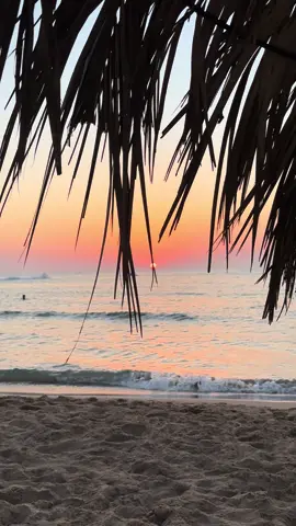 SUNSET ✨🎇 #oran #sunset  #Summer  #fyp #الشعب_الصيني_ماله_حل😂😂  @Nazan beach 🏖️ 