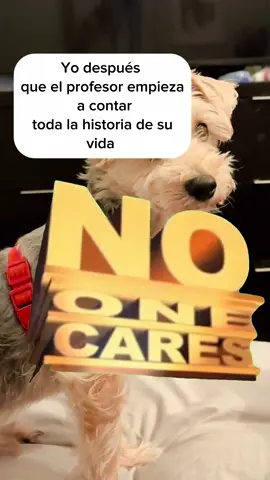 #MemeCut #Meme #MemeCut 