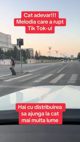 Dacă piesa asta nu te pune pe gânduri, inseamna ca nu esti roman. Inca se aude ecoul din 89 “📣 libertate!”  #fyp #viral #foryoupage #tiktokromania 
