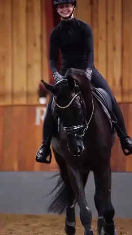 This horse😍 #dressage #fyp #blowupmyaccount #goviral #plsdontflop 